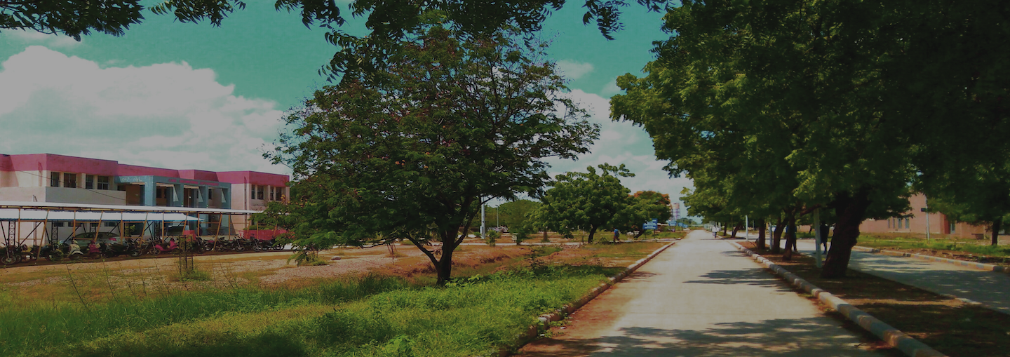 Lavish Green and Peaceful Campus...